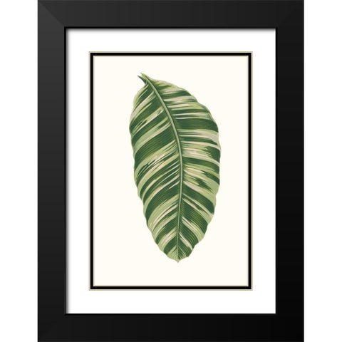 Collected Leaves XI Black Modern Wood Framed Art Print with Double Matting by Vision Studio