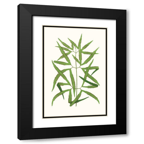 Collected Leaves XII Black Modern Wood Framed Art Print with Double Matting by Vision Studio