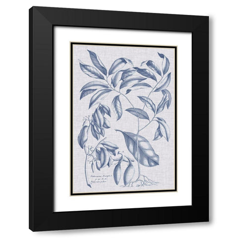 Navy And Linen Botanical I Black Modern Wood Framed Art Print with Double Matting by Vision Studio