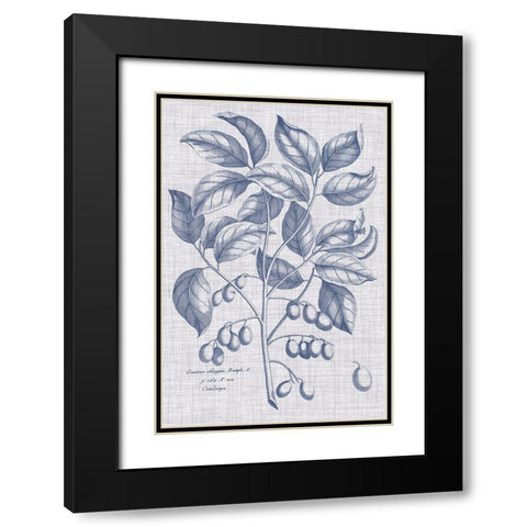 Navy And Linen Botanical II Black Modern Wood Framed Art Print with Double Matting by Vision Studio