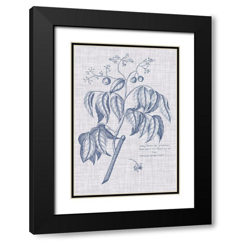 Navy And Linen Botanical IX Black Modern Wood Framed Art Print with Double Matting by Vision Studio