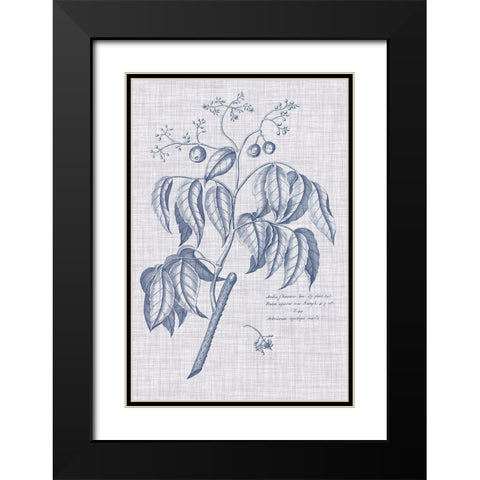 Navy And Linen Botanical IX Black Modern Wood Framed Art Print with Double Matting by Vision Studio