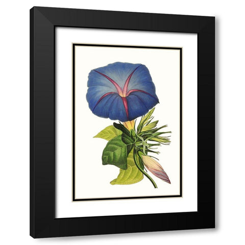 Paxton Florals I Black Modern Wood Framed Art Print with Double Matting by Paxton