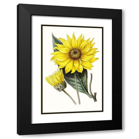 Paxton Florals II Black Modern Wood Framed Art Print with Double Matting by Paxton