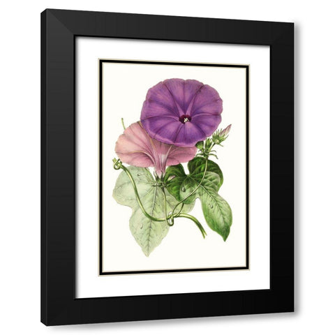 Paxton Florals III Black Modern Wood Framed Art Print with Double Matting by Paxton