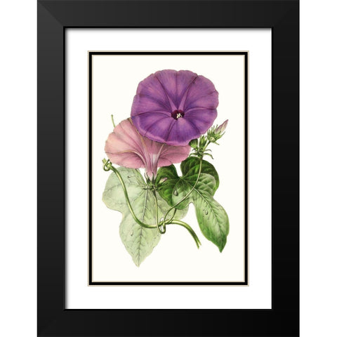 Paxton Florals III Black Modern Wood Framed Art Print with Double Matting by Paxton