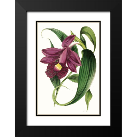 Paxton Florals V Black Modern Wood Framed Art Print with Double Matting by Paxton