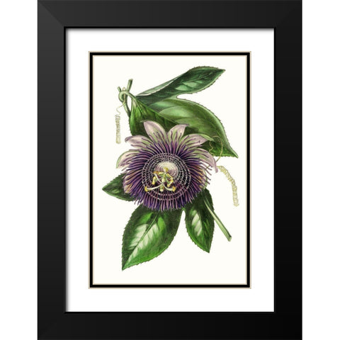 Paxton Florals VII Black Modern Wood Framed Art Print with Double Matting by Paxton