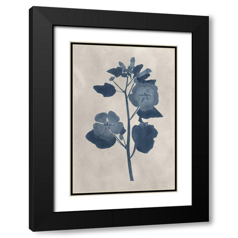 Navy Pressed Flowers V Black Modern Wood Framed Art Print with Double Matting by Vision Studio