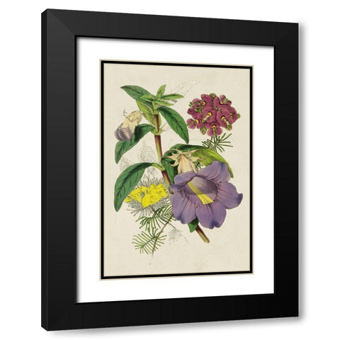 Paxton Botanical Pairing I Black Modern Wood Framed Art Print with Double Matting by Paxton