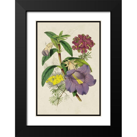 Paxton Botanical Pairing I Black Modern Wood Framed Art Print with Double Matting by Paxton