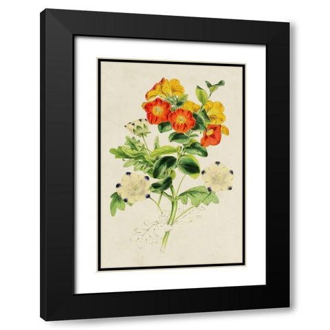 Paxton Botanical Pairing II Black Modern Wood Framed Art Print with Double Matting by Paxton