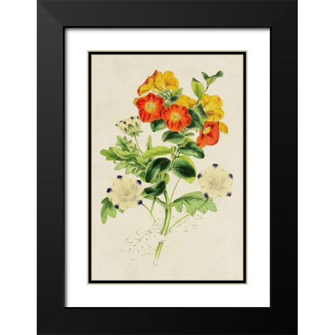 Paxton Botanical Pairing II Black Modern Wood Framed Art Print with Double Matting by Paxton