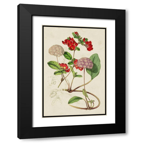 Paxton Botanical Pairing III Black Modern Wood Framed Art Print with Double Matting by Paxton