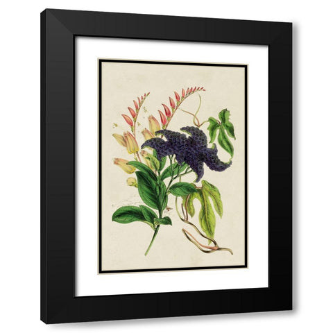 Paxton Botanical Pairing IV Black Modern Wood Framed Art Print with Double Matting by Paxton
