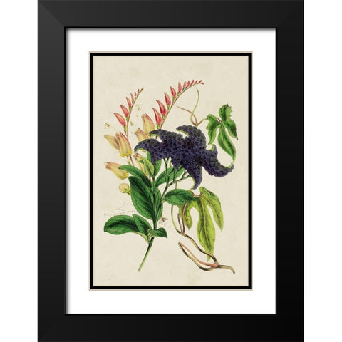 Paxton Botanical Pairing IV Black Modern Wood Framed Art Print with Double Matting by Paxton