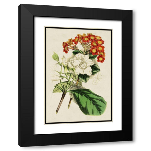 Paxton Botanical Pairing V Black Modern Wood Framed Art Print with Double Matting by Paxton