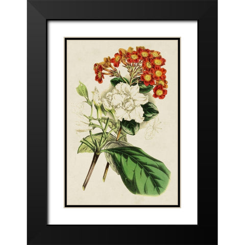 Paxton Botanical Pairing V Black Modern Wood Framed Art Print with Double Matting by Paxton