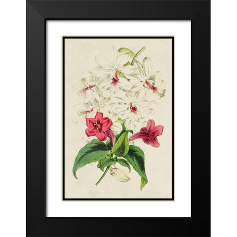 Paxton Botanical Pairing VI Black Modern Wood Framed Art Print with Double Matting by Paxton