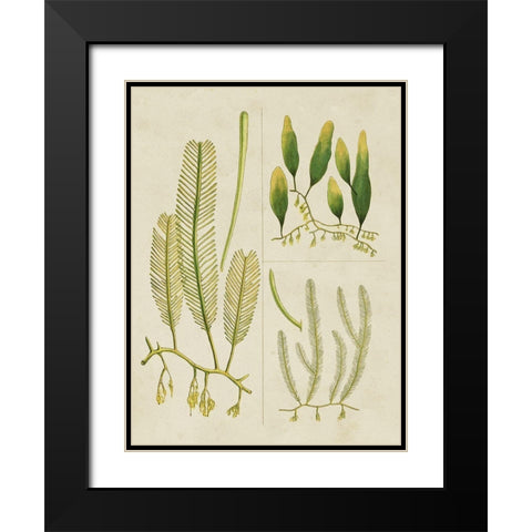 Vintage Sea Grass I Black Modern Wood Framed Art Print with Double Matting by Vision Studio