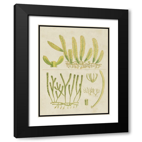 Vintage Sea Grass V Black Modern Wood Framed Art Print with Double Matting by Vision Studio