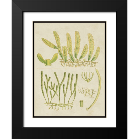 Vintage Sea Grass V Black Modern Wood Framed Art Print with Double Matting by Vision Studio