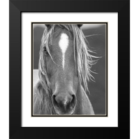 Close Up Black Modern Wood Framed Art Print with Double Matting by Linden, Sally