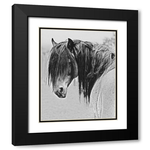 Freedom Black Modern Wood Framed Art Print with Double Matting by Linden, Sally