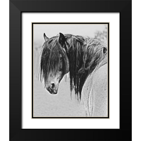 Freedom Black Modern Wood Framed Art Print with Double Matting by Linden, Sally