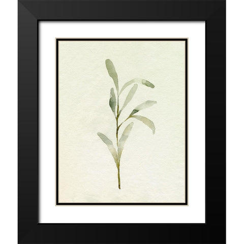 Olive Leaves I Black Modern Wood Framed Art Print with Double Matting by Caroline, Emma