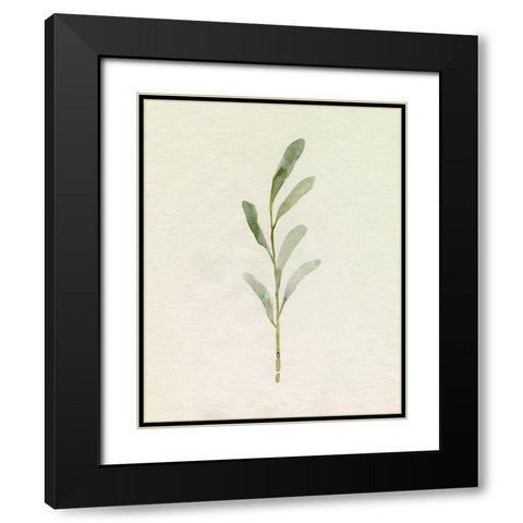 Olive Leaves II Black Modern Wood Framed Art Print with Double Matting by Caroline, Emma