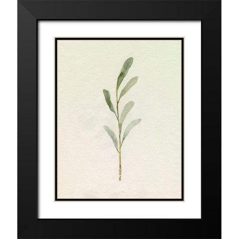 Olive Leaves II Black Modern Wood Framed Art Print with Double Matting by Caroline, Emma