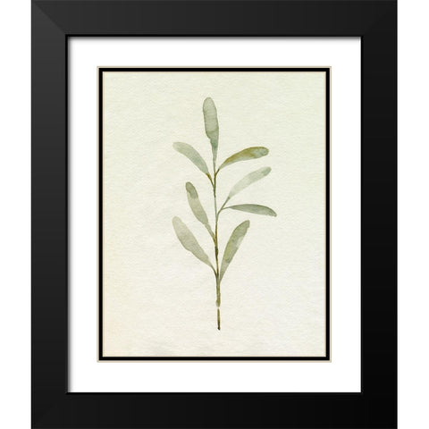 Olive Leaves III Black Modern Wood Framed Art Print with Double Matting by Caroline, Emma