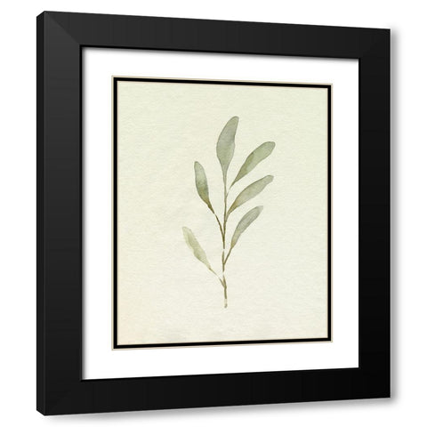 Olive Leaves IV Black Modern Wood Framed Art Print with Double Matting by Caroline, Emma