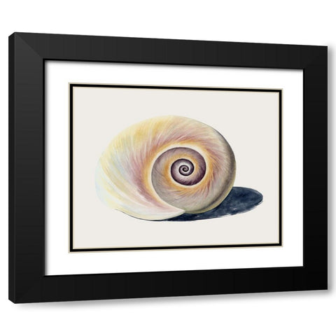 Spiraling II Black Modern Wood Framed Art Print with Double Matting by Popp, Grace