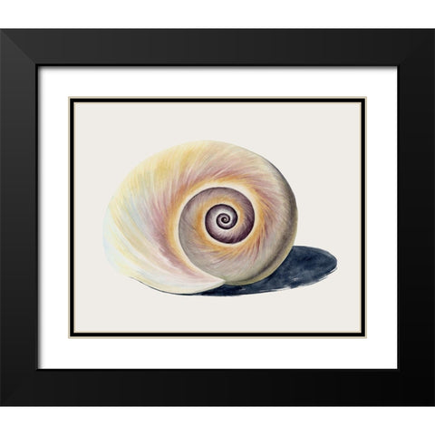 Spiraling II Black Modern Wood Framed Art Print with Double Matting by Popp, Grace