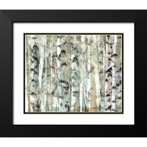 Birch Bunch I Black Modern Wood Framed Art Print with Double Matting by Saunders, Alonzo