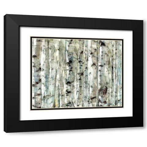 Birch Bunch II Black Modern Wood Framed Art Print with Double Matting by Saunders, Alonzo