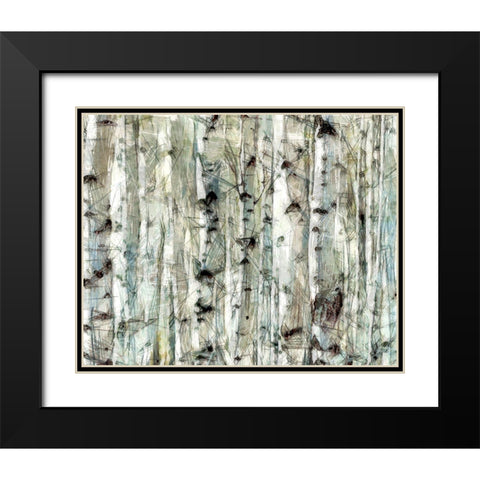 Birch Bunch II Black Modern Wood Framed Art Print with Double Matting by Saunders, Alonzo