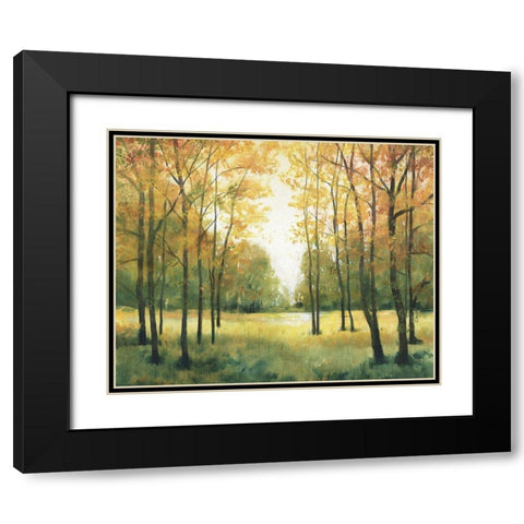 Fall Retreat I Black Modern Wood Framed Art Print with Double Matting by OToole, Tim