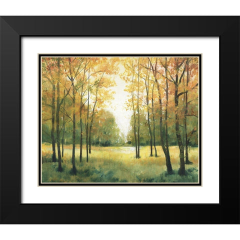 Fall Retreat I Black Modern Wood Framed Art Print with Double Matting by OToole, Tim