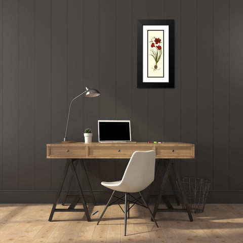 Custom Amaryllis Panel I Black Modern Wood Framed Art Print with Double Matting by Vision Studio