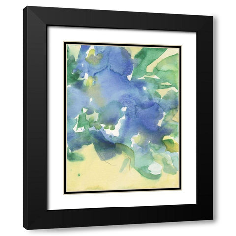 Fanciful Flora II Black Modern Wood Framed Art Print with Double Matting by Dixon, Samuel