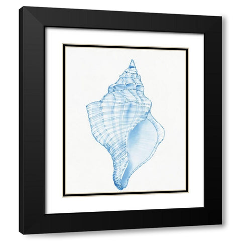 Blue Shell I Black Modern Wood Framed Art Print with Double Matting by OToole, Tim