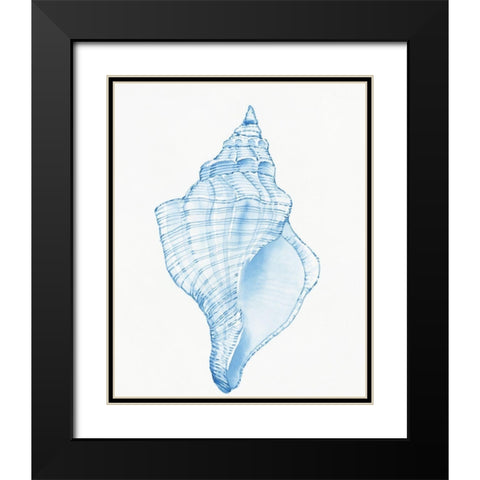 Blue Shell I Black Modern Wood Framed Art Print with Double Matting by OToole, Tim