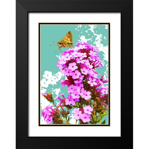 Skipper On Flox Black Modern Wood Framed Art Print with Double Matting by Evelia Designs