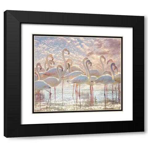 Quiet Wave of Pink Black Modern Wood Framed Art Print with Double Matting by Hunziker, Steve