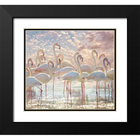 Quiet Wave of Pink Black Modern Wood Framed Art Print with Double Matting by Hunziker, Steve