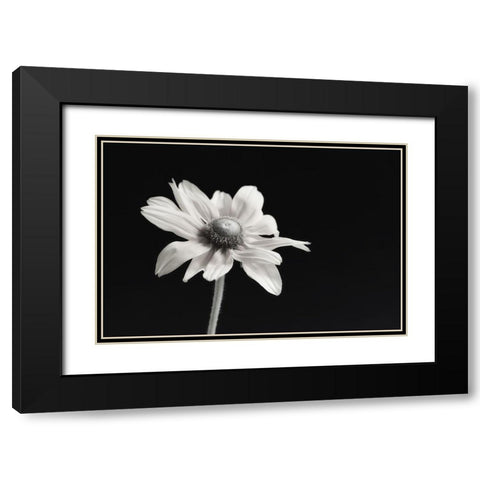 Elegance Floral I Black Modern Wood Framed Art Print with Double Matting by Poinski, Dianne