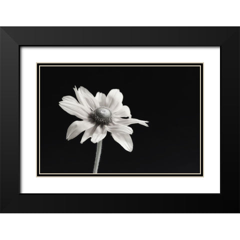 Elegance Floral I Black Modern Wood Framed Art Print with Double Matting by Poinski, Dianne